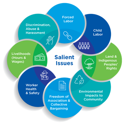 Salient issues include land rights, forced labor, child labor, wages/ earnings, freedom of associate and collective bargaining