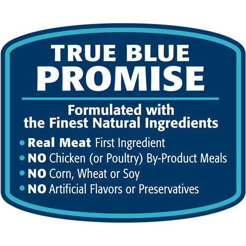 The True Blue Promise